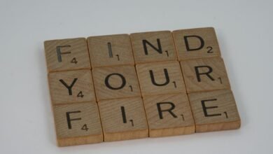 summarized dataset findings revealed