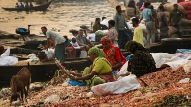 market dynamics contact numbers