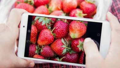 market penetration analysis overview