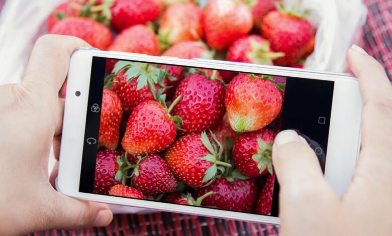 market penetration analysis overview